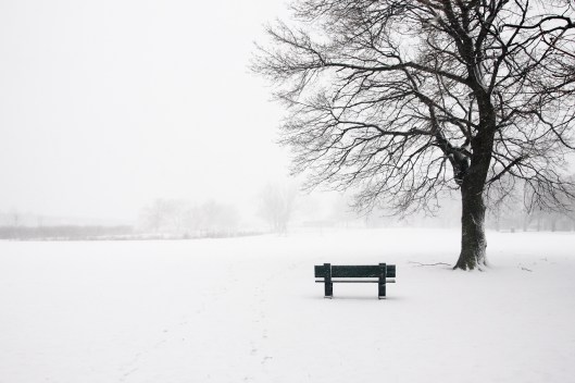 2/8下午，雪勢還未轉強前，查爾斯河畔的一塊空地已開始積雪