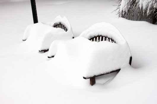 公園板凳上雪多到滿出來
