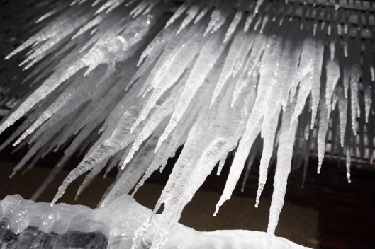密密麻麻的冰柱