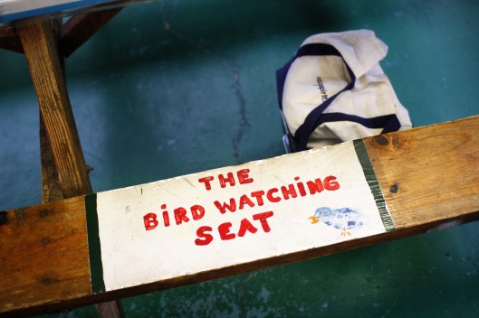 長椅特別劃出一格賞鳥用座位? XD