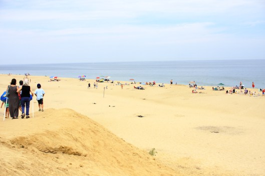 只有小貓幾隻的超大沙灘