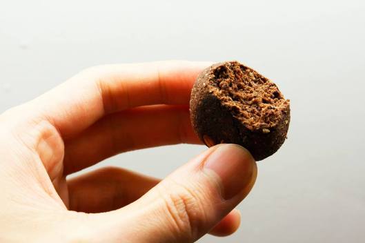 彗星餅乾的內部