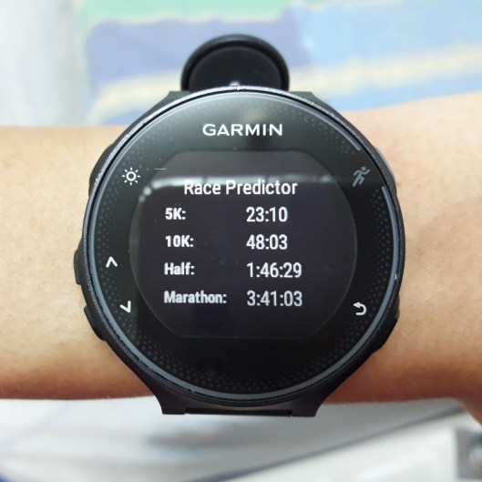 garmin-race