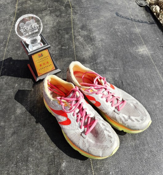 2017-01-08-13-32-39-1