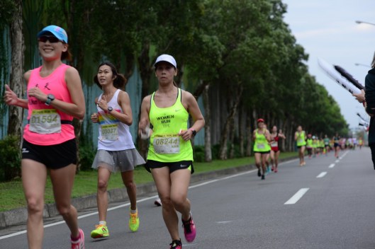 2048_f0daf1d6713cc931da7dcd120c58c755